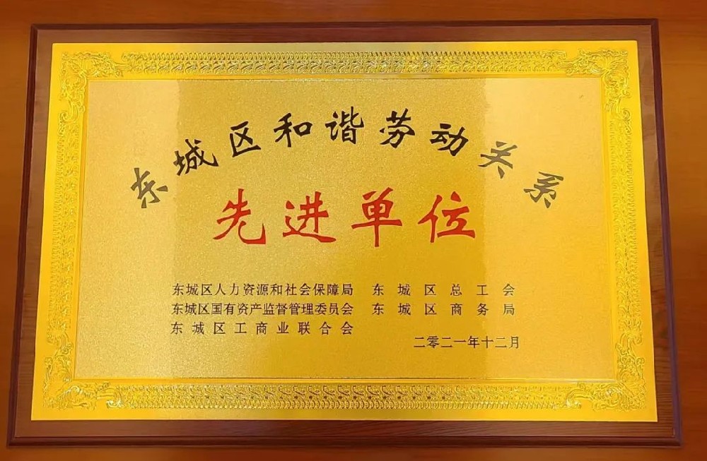 大龍集團榮獲“東城區(qū)和諧勞動關系先進單位”光榮稱號